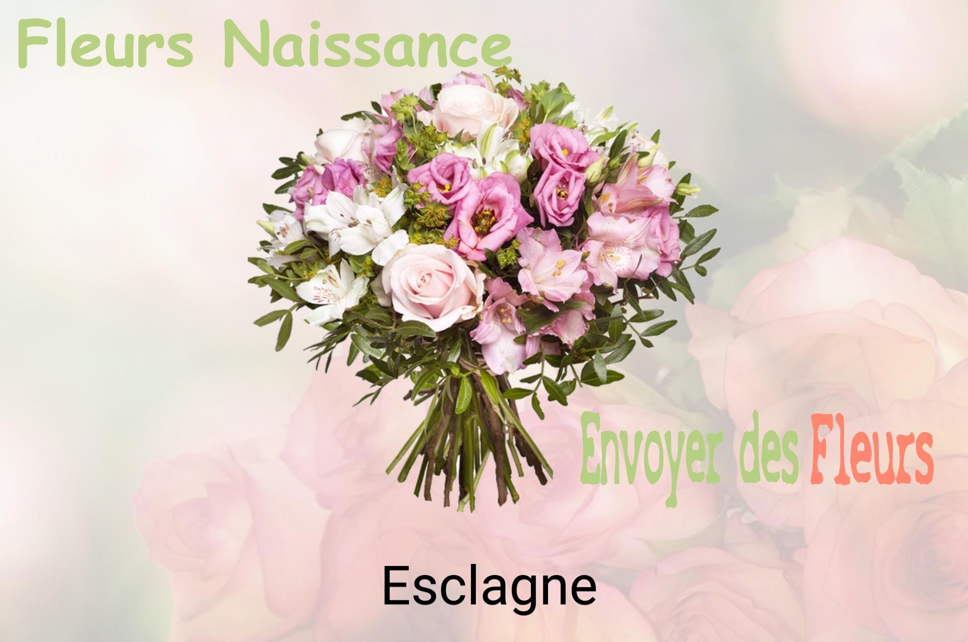 Bouquet de fleurs de naissance livré à Esclagne