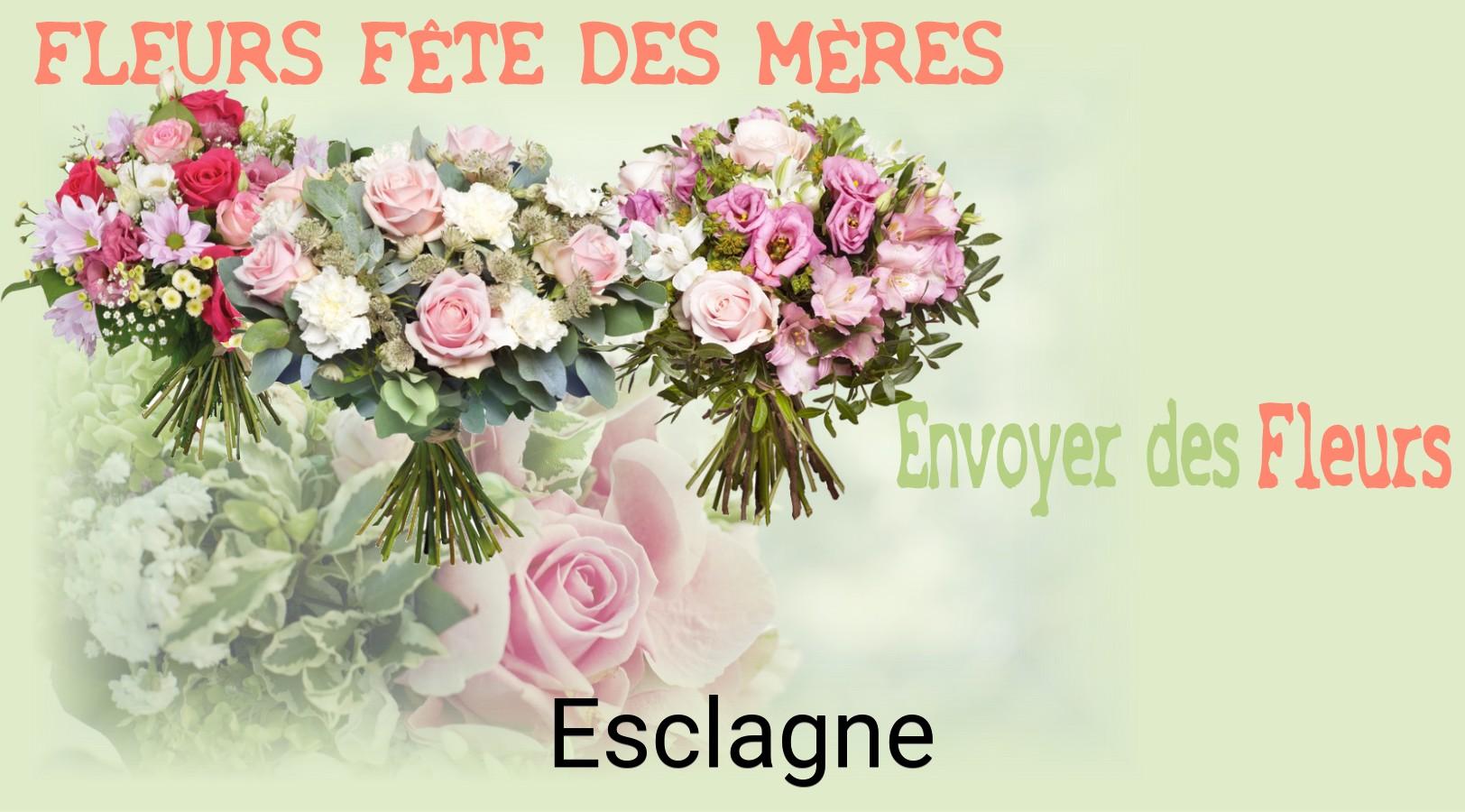 Bouquet de Fête des Mères livré à Esclagne